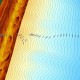 Bratele Dunarii - SULINA si Sf. GHEORGHE (livrarea in luna Iunie 2025 -pretul se comunica telefonic ) Bratele Dunarii - SULINA si Sf. GHEORGHE (livrarea in luna Iunie 2025 -pretul se comunica telefonic )